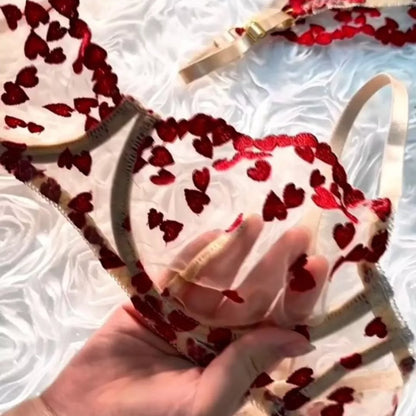 Women’s Heart Lace Transparent Bra & Panty Set – Romantic Mesh Lingerie